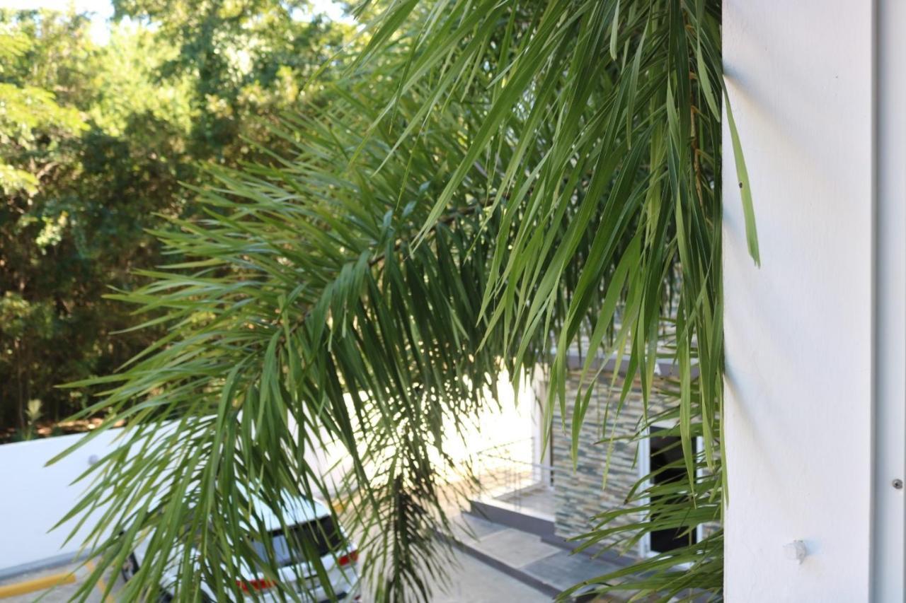 Apartamento Amueblado Amplio Tranquilo Privado Como Tu Lo Mereces Santiago De Los Caballeros Exterior foto